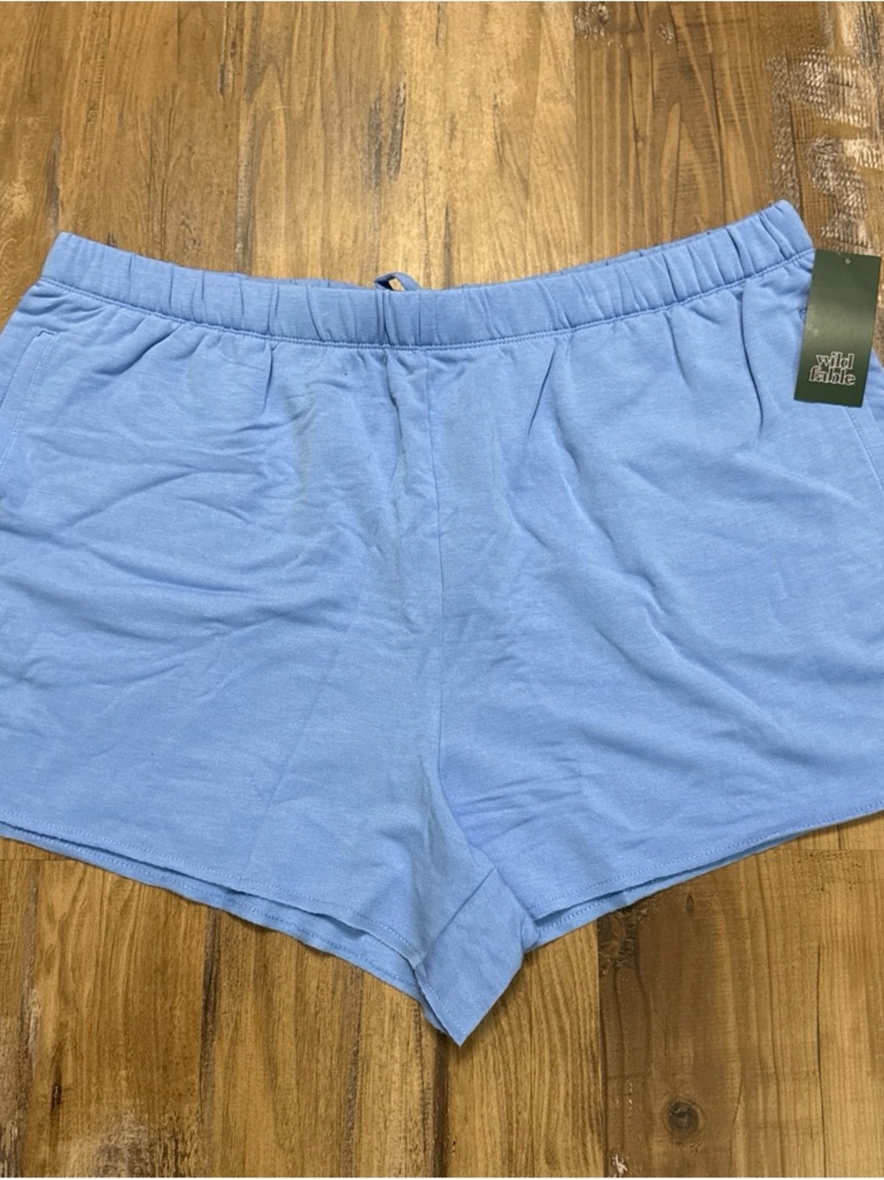 wild fable Powder Blue Women's Athletic Lounge Shorts